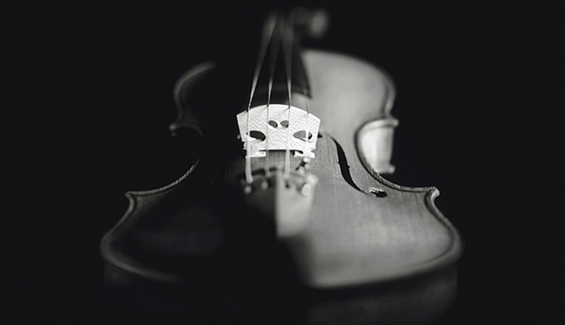 Concours dédié au violon - 6 au 12 juin 2024